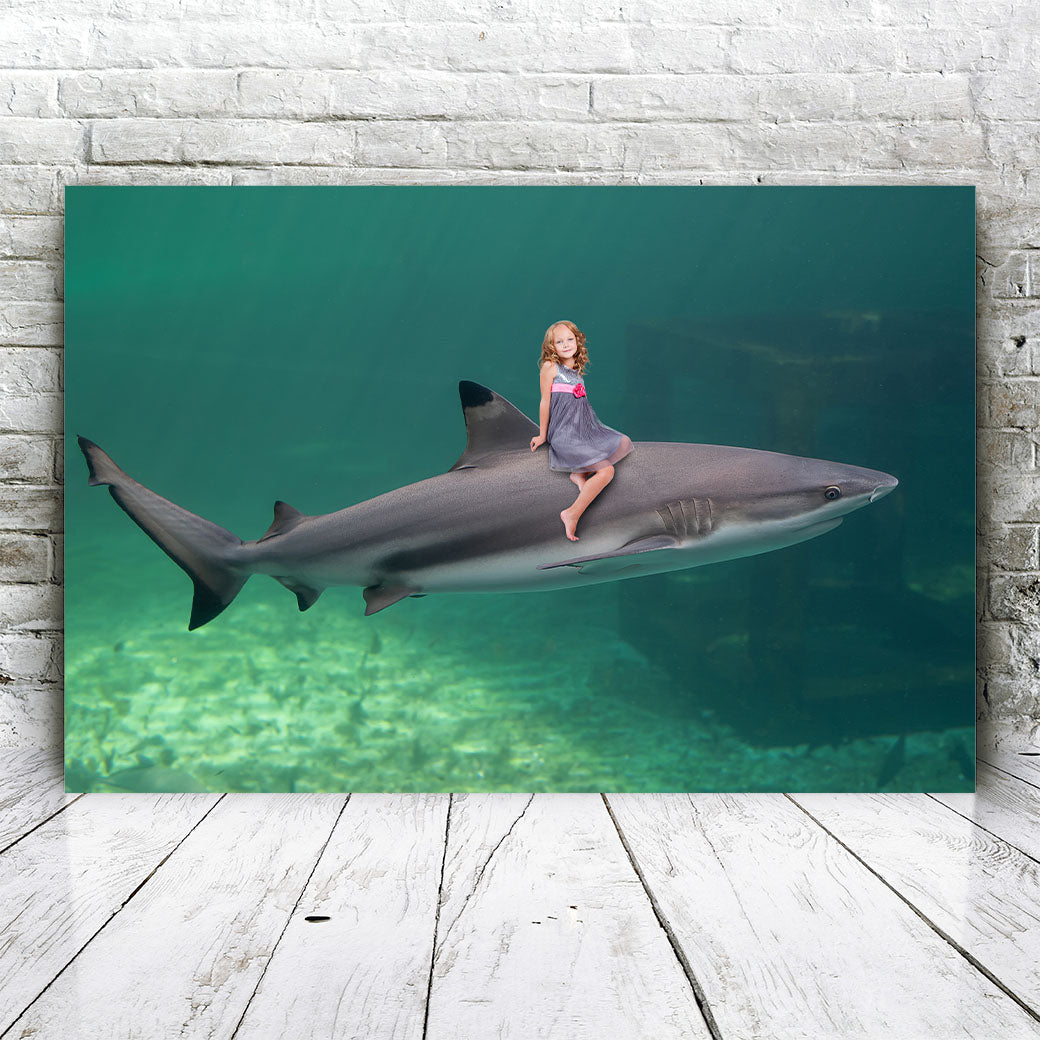 Swimming Shark